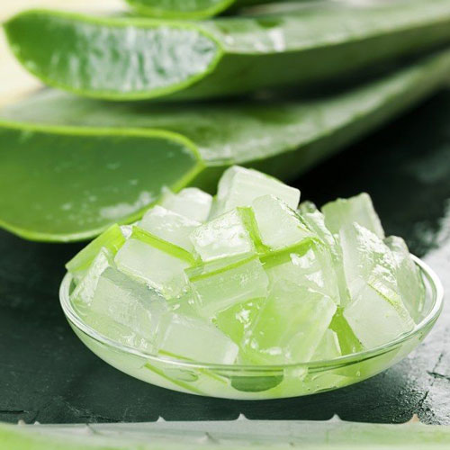 فواید اعجاب‌انگیز ژل گیاه آلوئه ورا