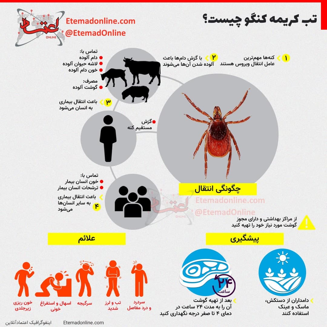 تب کریمه کنگو چیست ؟